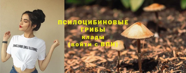 спиды Белокуриха