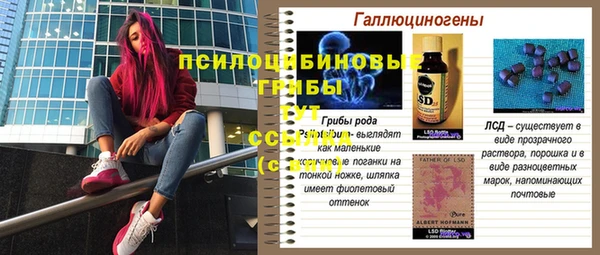 гидропоника Белоозёрский