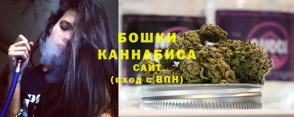 прущие грибы Переславль-Залесский
