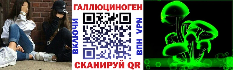 Псилоцибиновые грибы мицелий  Волхов 